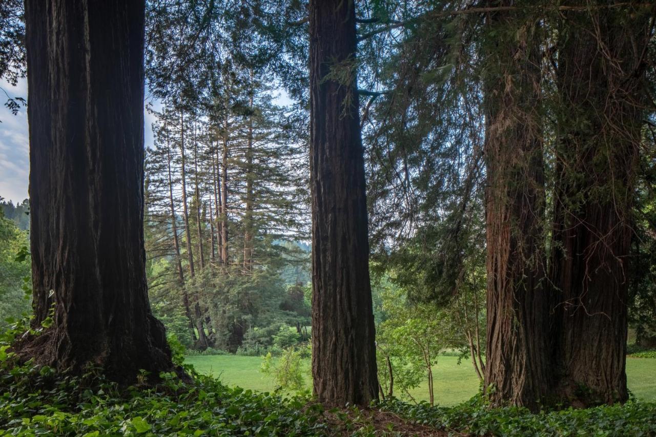 Dawn Ranch Hotel Guerneville Buitenkant foto